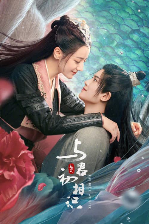 与君初相识 afişi