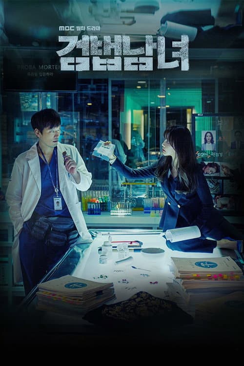 검법남녀 afişi
