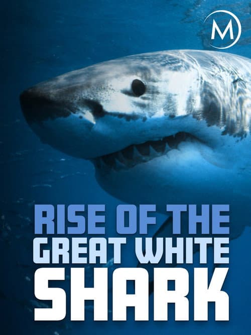 Rise Of The Great White Shark afişi