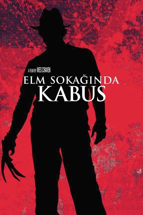 Elm Sokağında Kâbus afişi