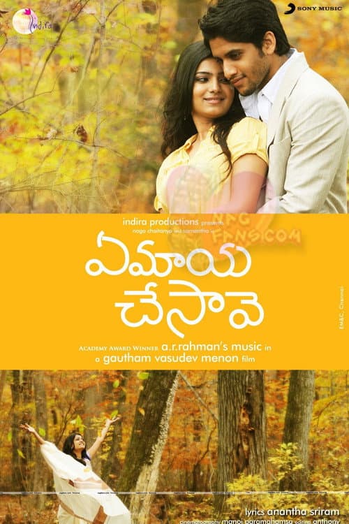 ఏ మాయ చేసావే afişi
