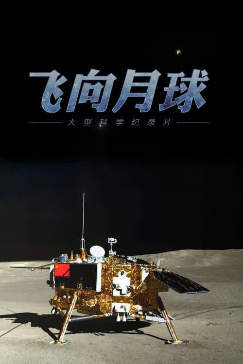 飞向月球 afişi