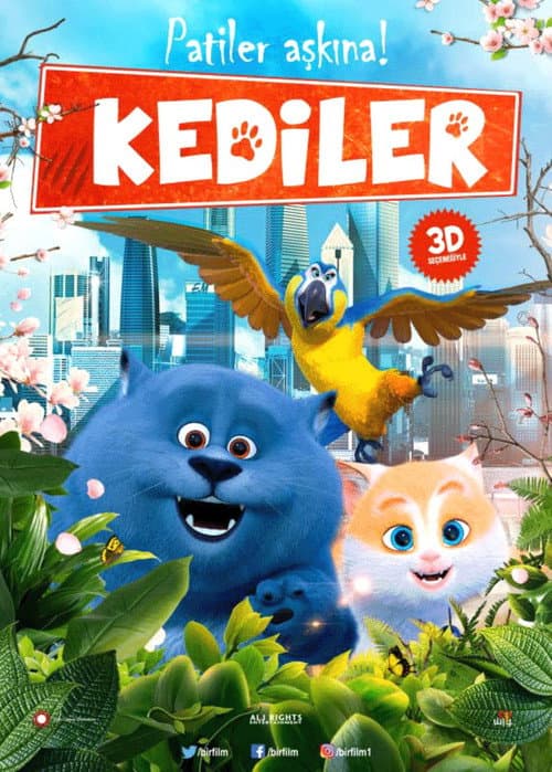 Kediler afişi