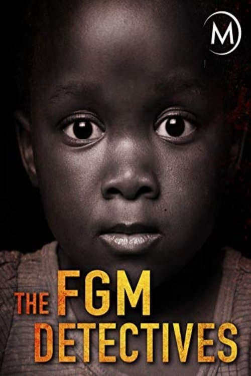 The FGM Detectives afişi