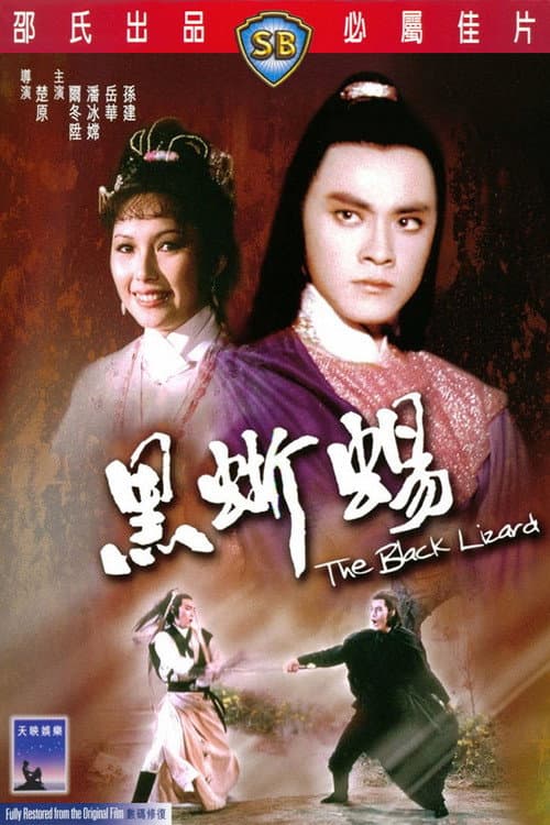黑蜥蜴 afişi