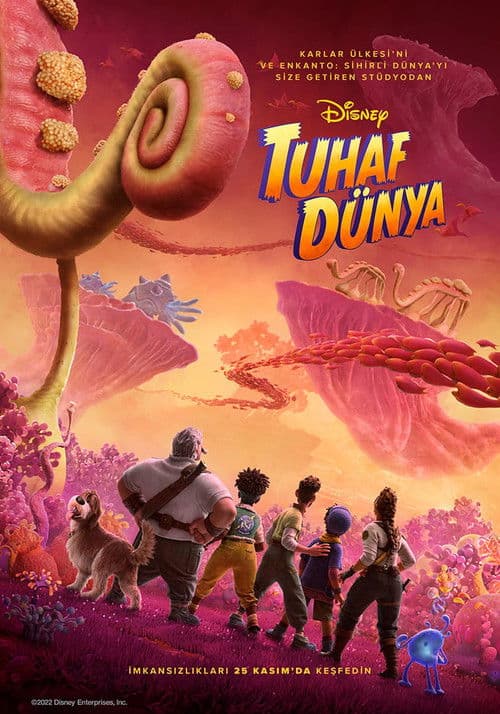 Tuhaf Dünya afişi