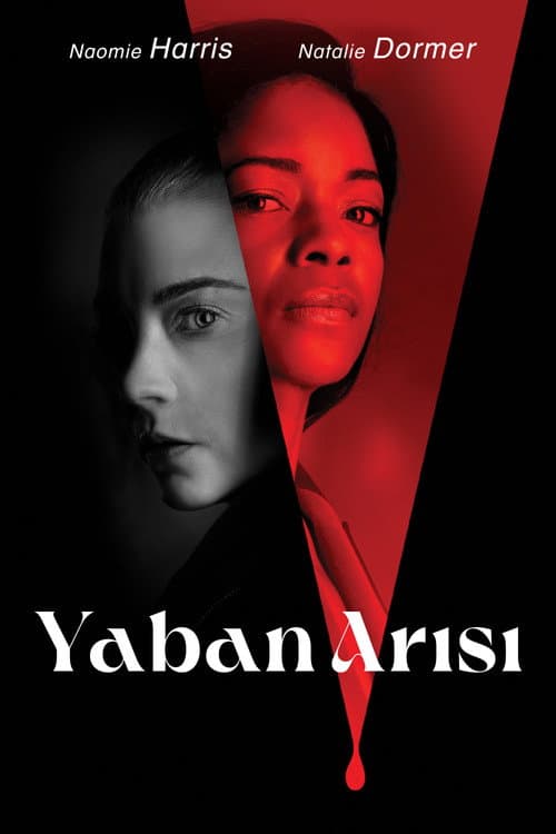 Yaban Arısı afişi