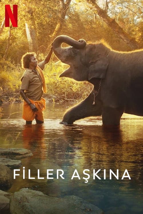 Filler Aşkına afişi