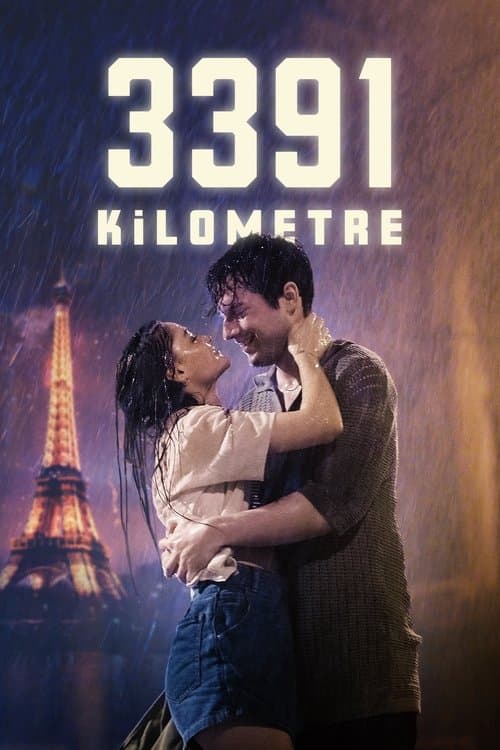 3391 Kilometre afişi