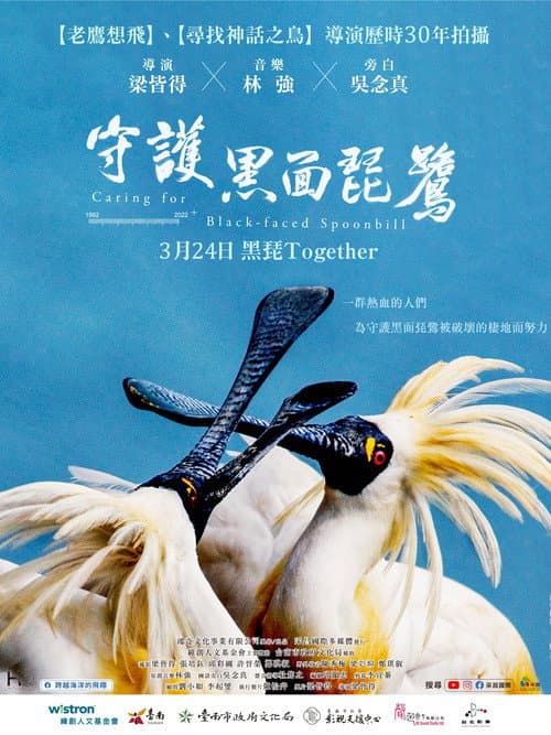 守護黑面琵鷺 afişi