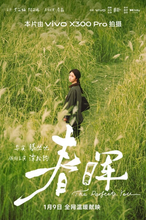 春晖 afişi