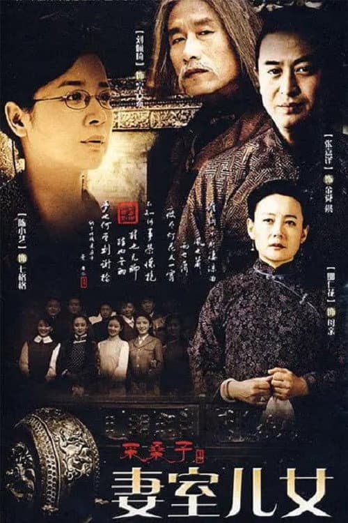 妻室儿女 afişi