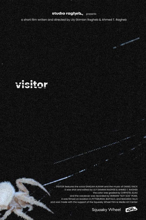 Visitor afişi