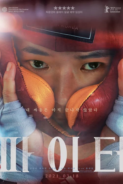 파이터 afişi