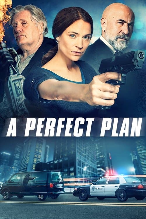 A Perfect Plan afişi