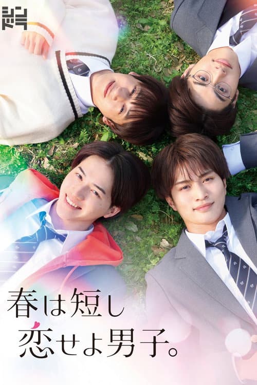 春は短し恋せよ男子。 afişi