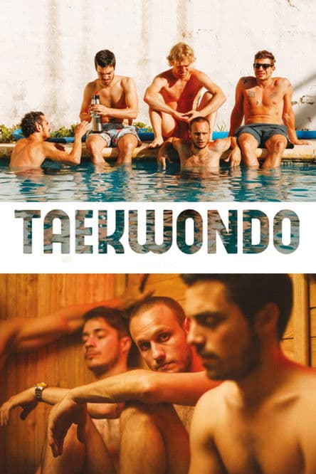 Taekwondo afişi