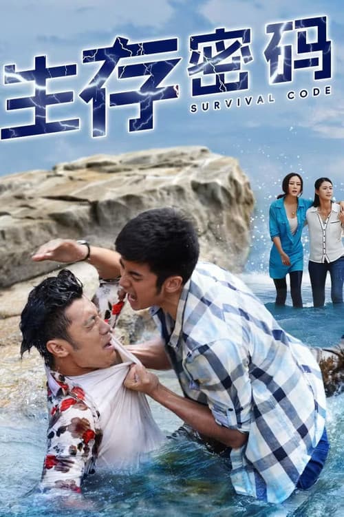 生存密码 afişi