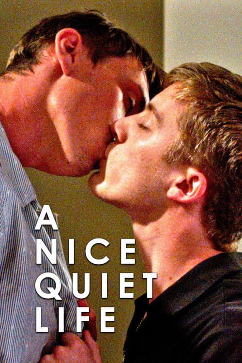 A Nice Quiet Life afişi