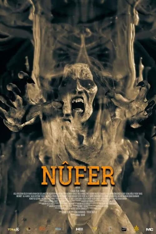 Nûfer afişi