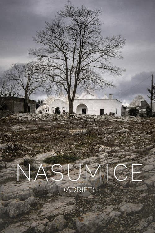 Nasumice afişi