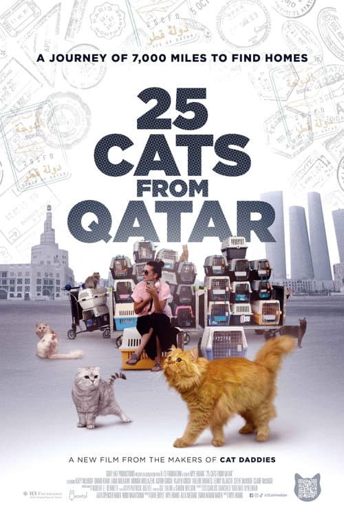 25 Cats from Qatar afişi
