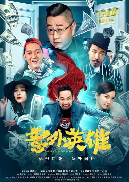 意外英雄 afişi
