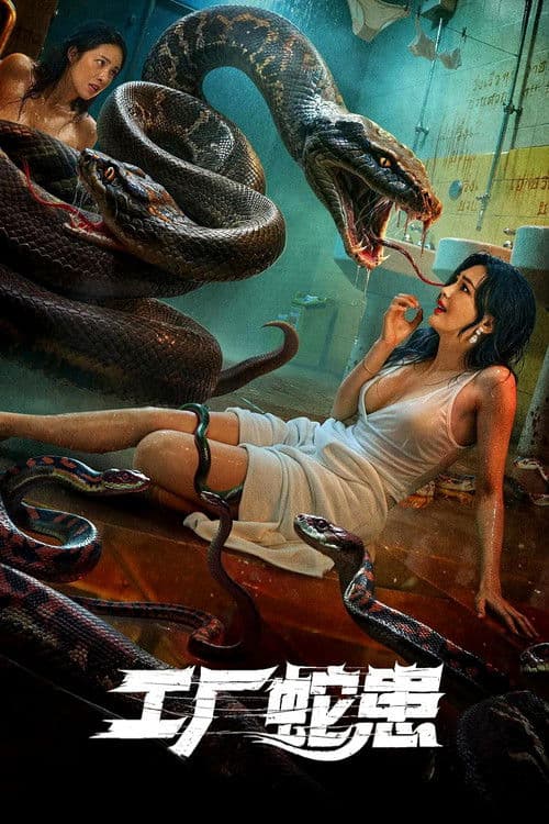 工厂蛇患 afişi