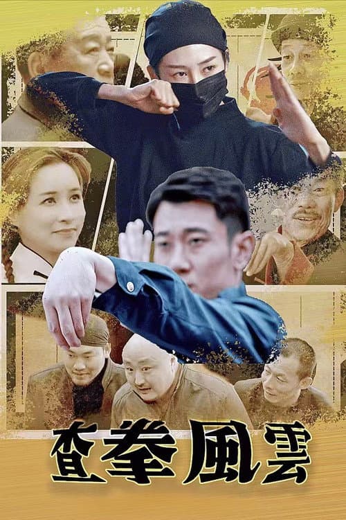 查拳风云 afişi