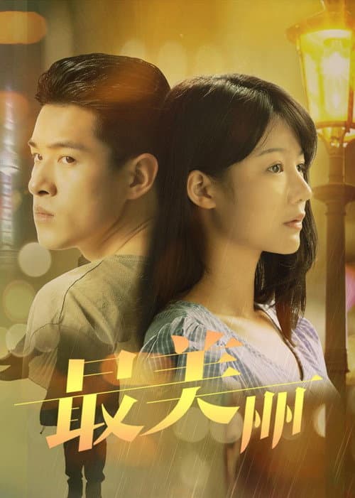 最美丽 afişi