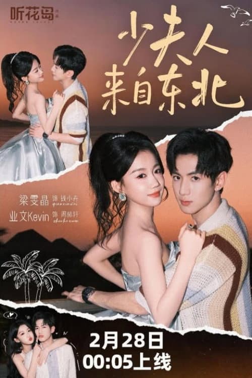 少夫人来自东北 afişi