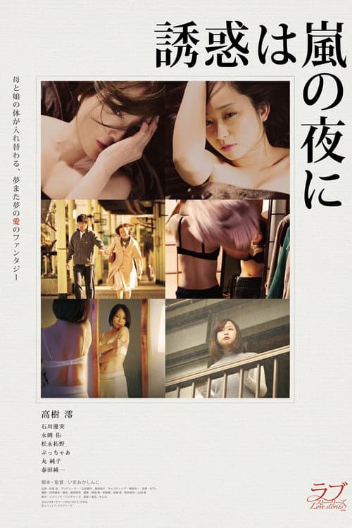 誘惑は嵐の夜に afişi