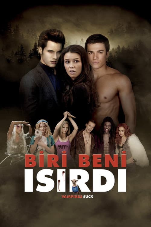 Biri Beni Isırdı afişi