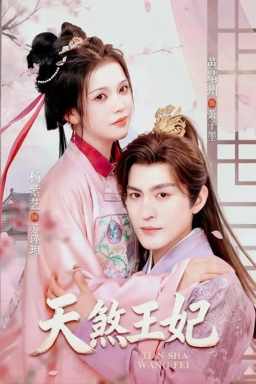 天煞王妃 afişi