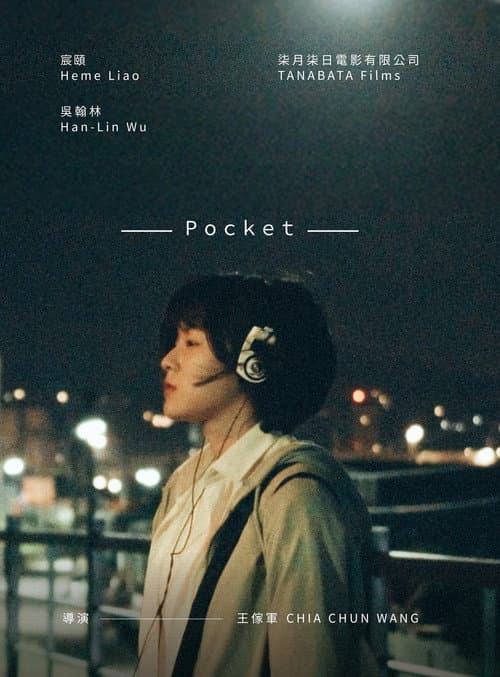 POCKET afişi