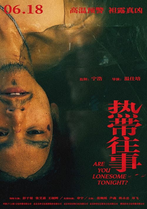 热带往事 afişi