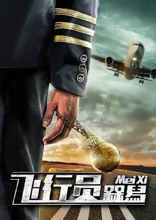 飞行员呆呆鸟 afişi
