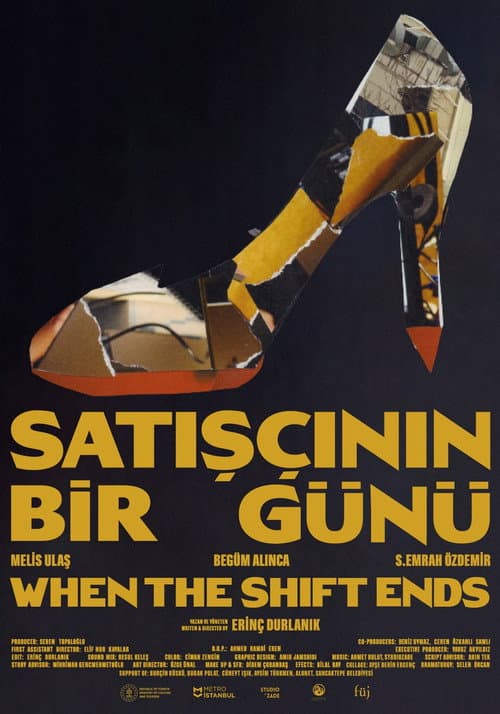 Satışçının Bir Günü afişi