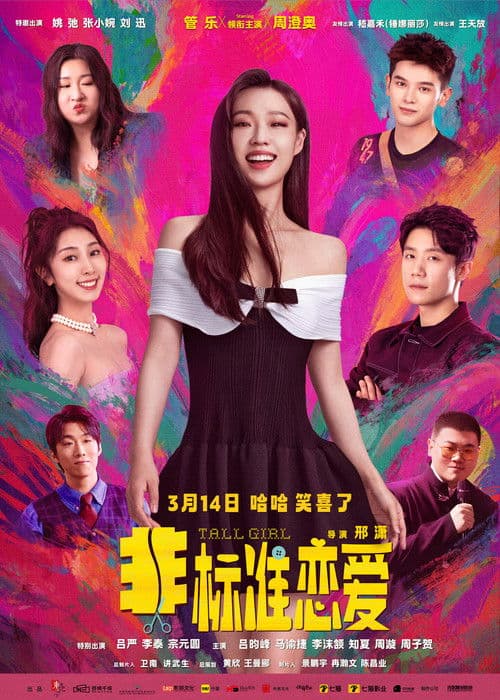 非标准恋爱 afişi