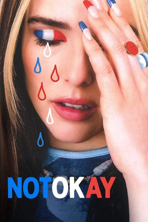 Not Okay afişi