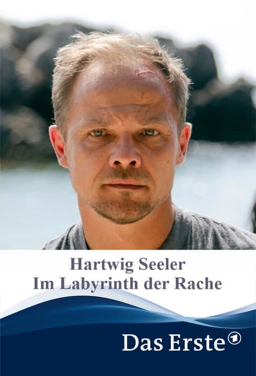 Hartwig Seeler – Im Labyrinth der Rache afişi