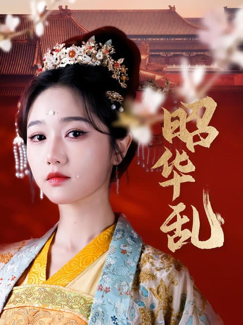 昭华乱 afişi