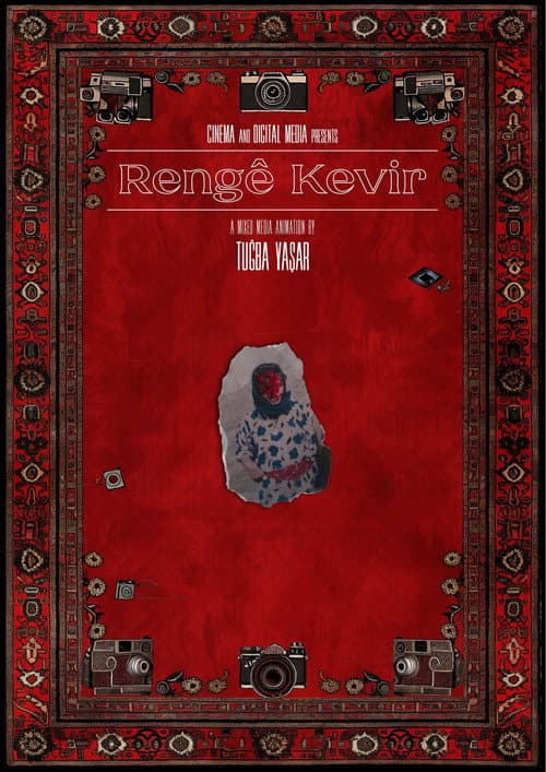 Taşın Rengi afişi