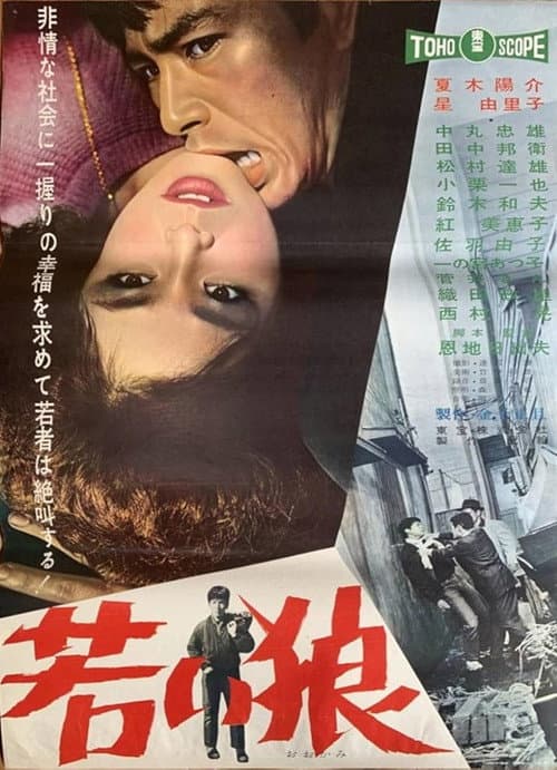 若い狼 afişi