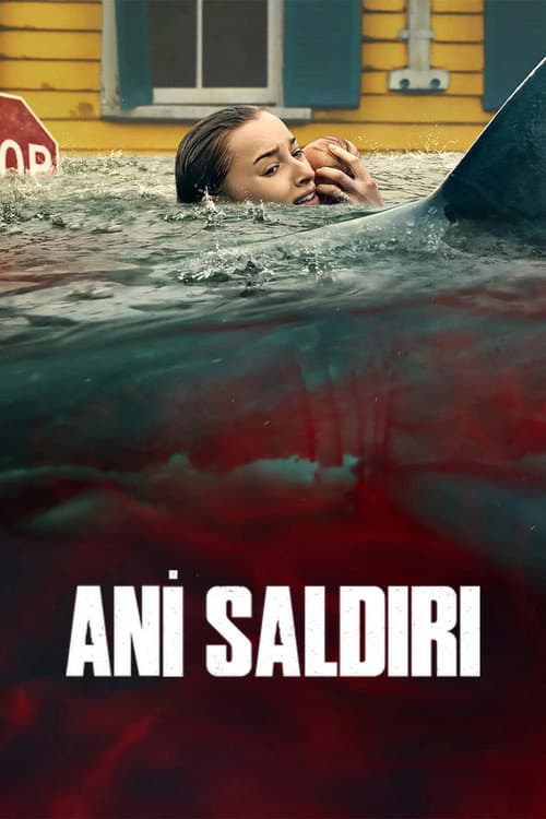Ani Saldırı afişi