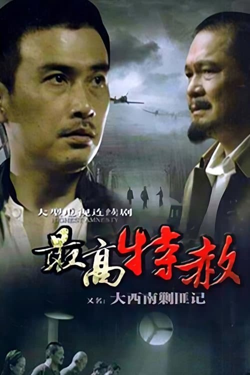 大西南剿匪记 afişi