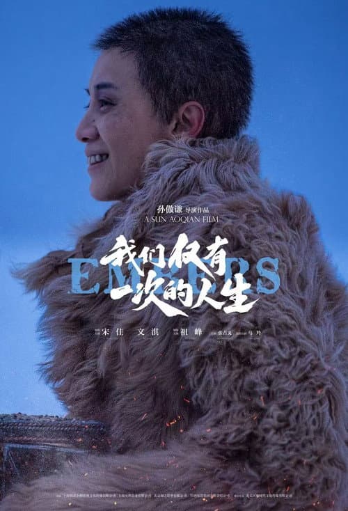 我们仅有一次的人生 afişi