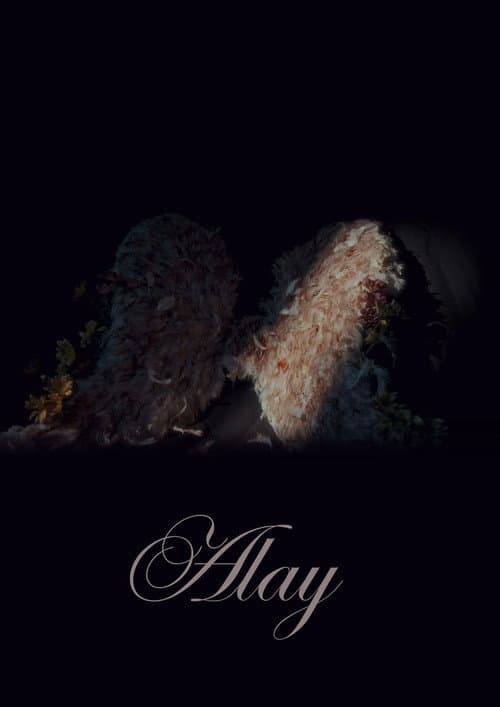Alay afişi