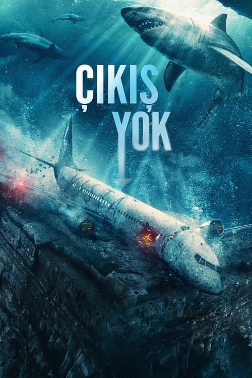Çıkış Yok afişi