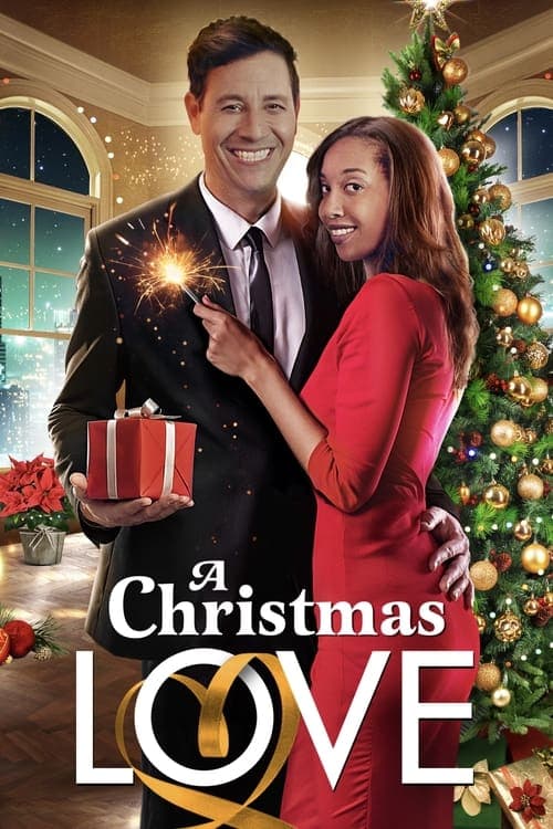 A Christmas Love afişi